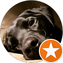 Amber Hall profile picture