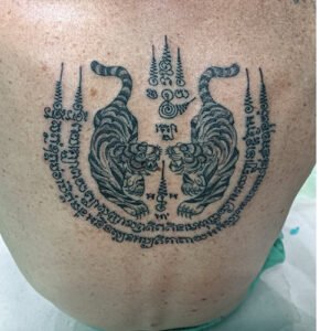 Twin Tiger